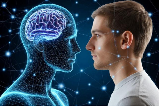 Motivasiyanın qorunmasına xidmət edən yeni neyron kəşf edildi 