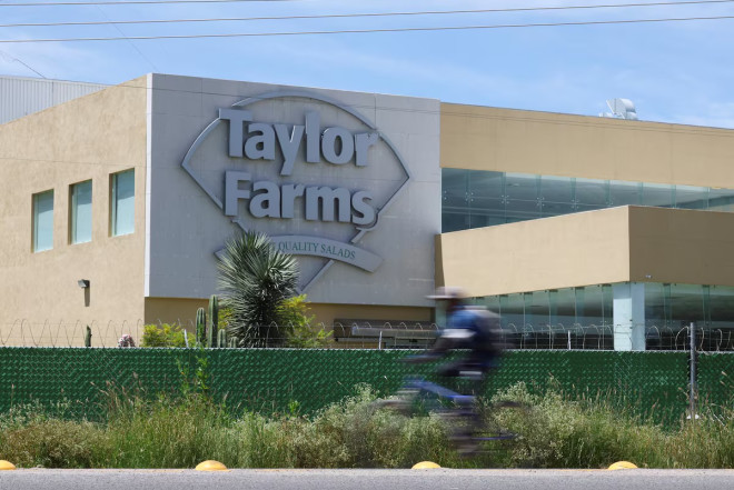 Taylor Farms məhsullarını salmonella şübhəsinə görə geri çağırıb 