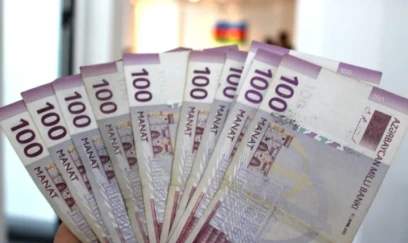 Ödənişli xidmətlər bazarında kəskin artım: Son 7 ayın nəticələri
