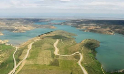 Ekologiya üçün daha hansı addımlar vacibdir? – Ekoloqdan mühüm təkliflər