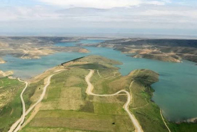 Ekologiya üçün daha hansı addımlar vacibdir? – Ekoloqdan mühüm təkliflər