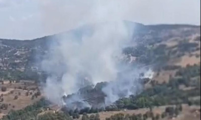 Bursada meşə yanğını başlayıb 