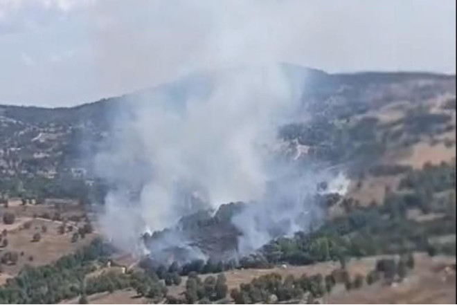 Bursada meşə yanğını başlayıb 