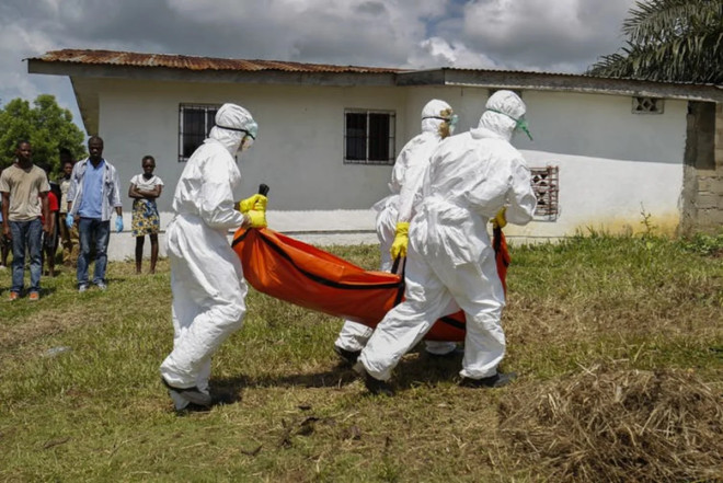 Ebola virusuna yoluxanların sayı 7 mini ötüb 
