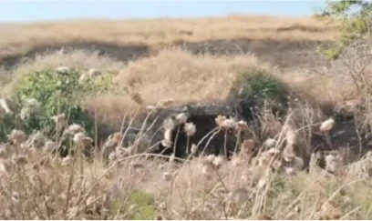 Xocavənddə yeni tarixi abidə aşkar edildi 