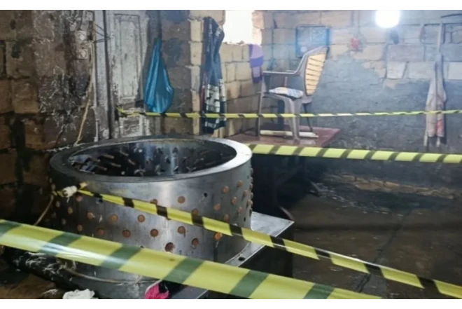 Masallıda qanunsuz toyuq kəsimi sexləri aşkarlandı