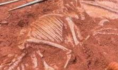 150 milyon illik dinozavr Avropada tapıldı – alimlər təəccübləndi 