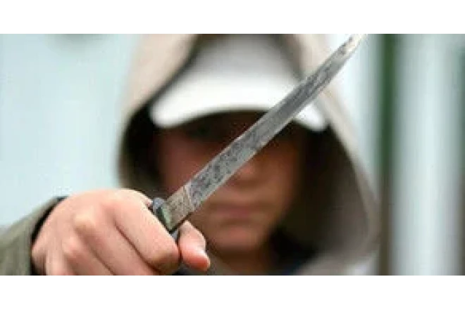Mahnı sifarişi üstündə dava: Müştəri bıçaqlandı
