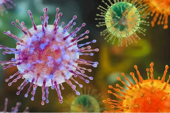 Ukraynada virus həyəcanı: Sürətlə naməlum infeksiya yayılır