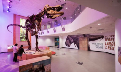 Arxeoloqlar 66 milyon illik dinozavr sümüyündə qeyri-adi izlər tapıblar 
