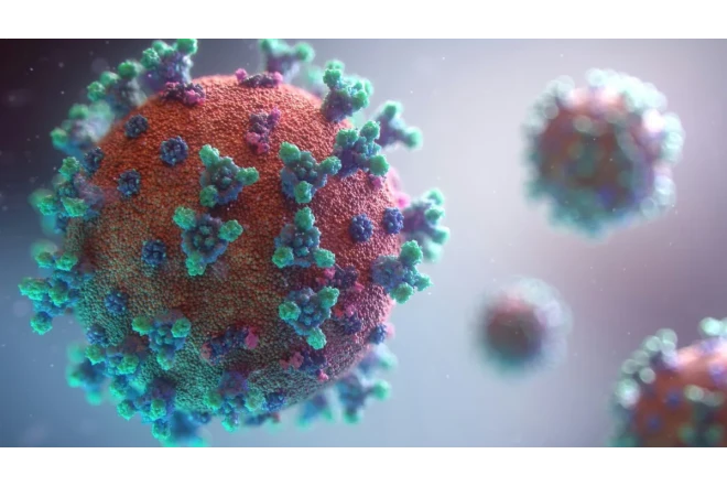 Britaniyada təhlükəli virus yayılıb