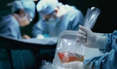 Könüllü donor olanların sayı 1800-ə yaxındır 