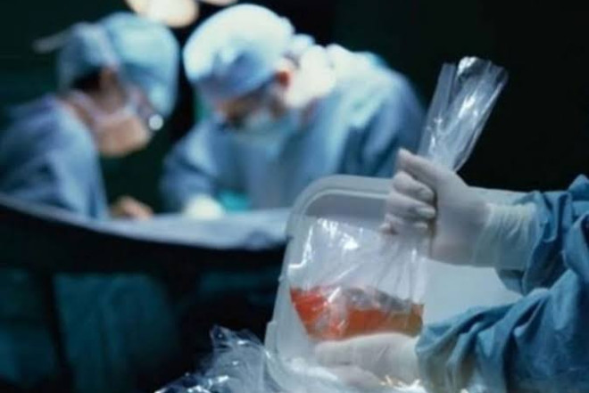 Könüllü donor olanların sayı 1800-ə yaxındır 