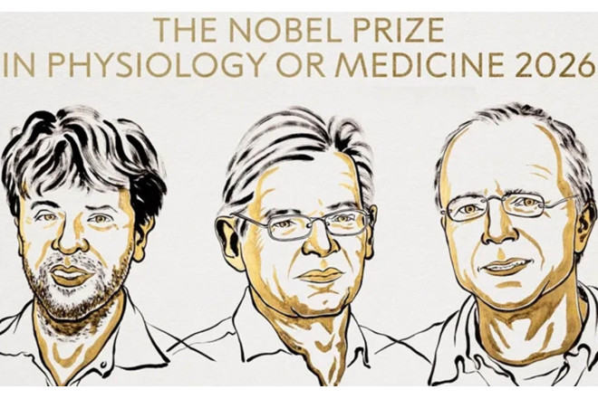 Tibb üzrə Nobel mükafatı onlara veriləcək 
