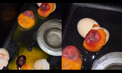 Mağazadan yumurta aldı, içindən cücə çıxdı