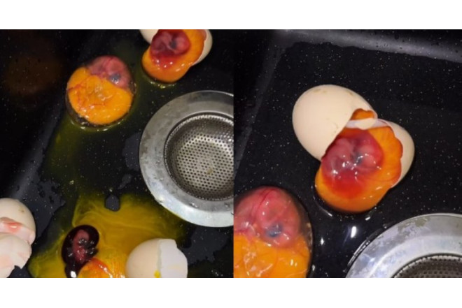 Mağazadan yumurta aldı, içindən cücə çıxdı