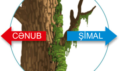 Təxayülün sirli qüvvəsi 