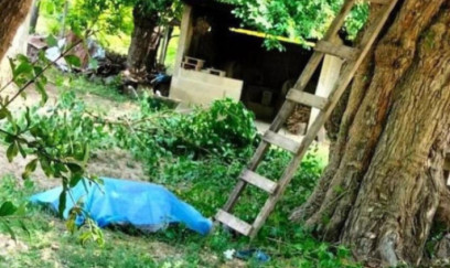 Göygöldə 62 yaşlı kişi ağacdan yıxılaraq ölüb 