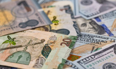 Manatın taleyi ilə bağlı 4 illik PROQNOZ AÇIQLANDI
