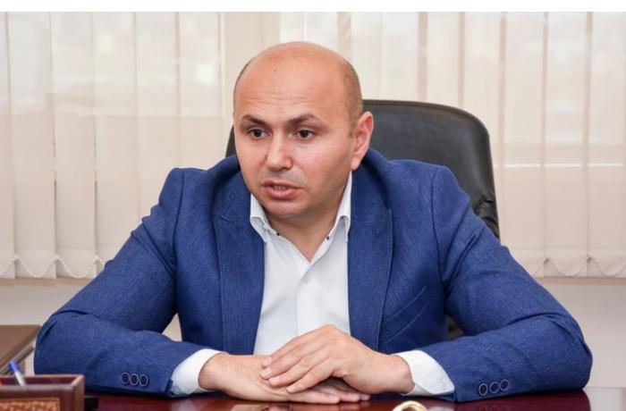 E.Mirbəşir: "Birgə bəyanatda yer alan qərarlar Azərbaycanın maraqlarına uyğundur" 